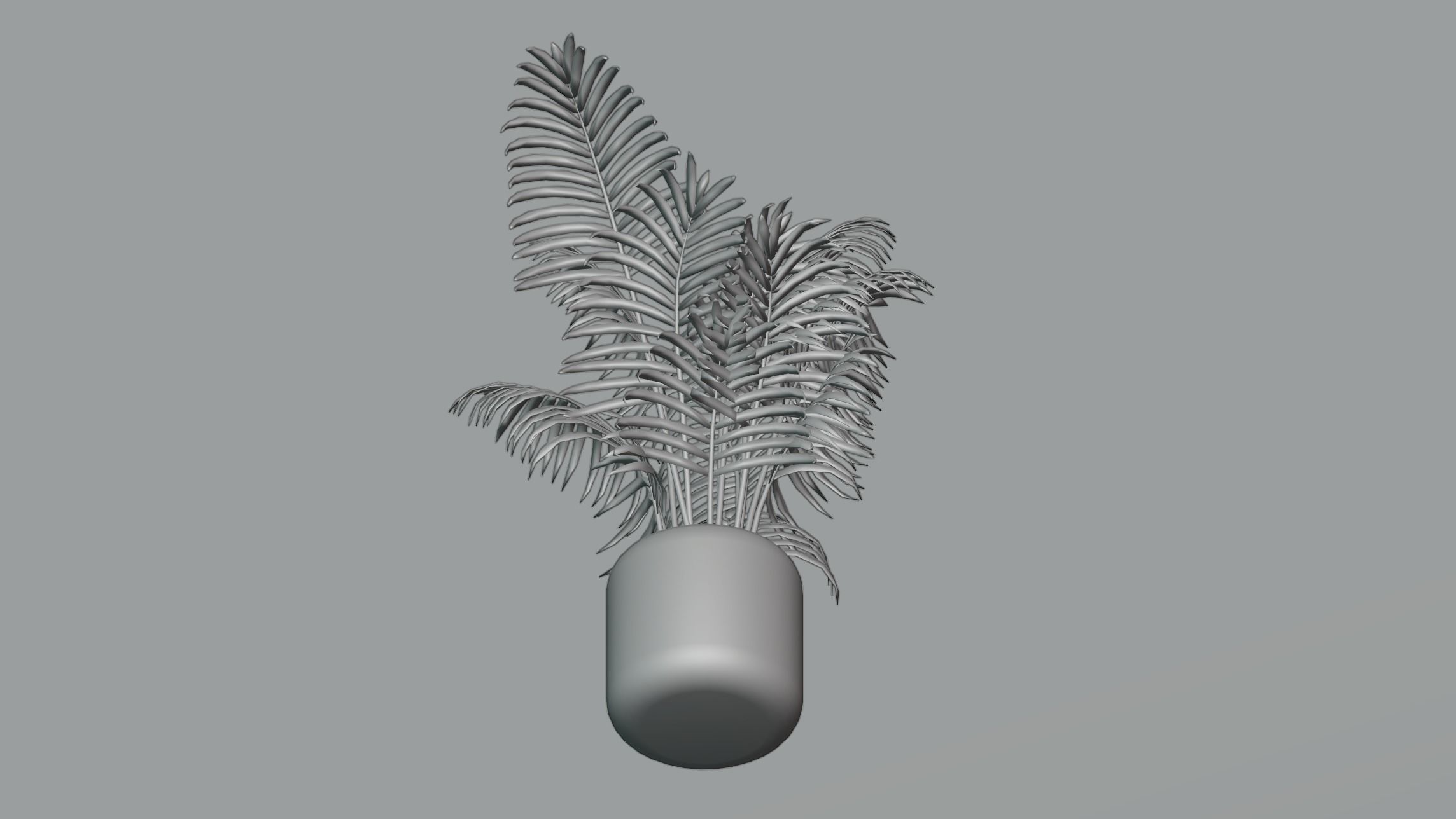 Areca palm plant 3D model_4