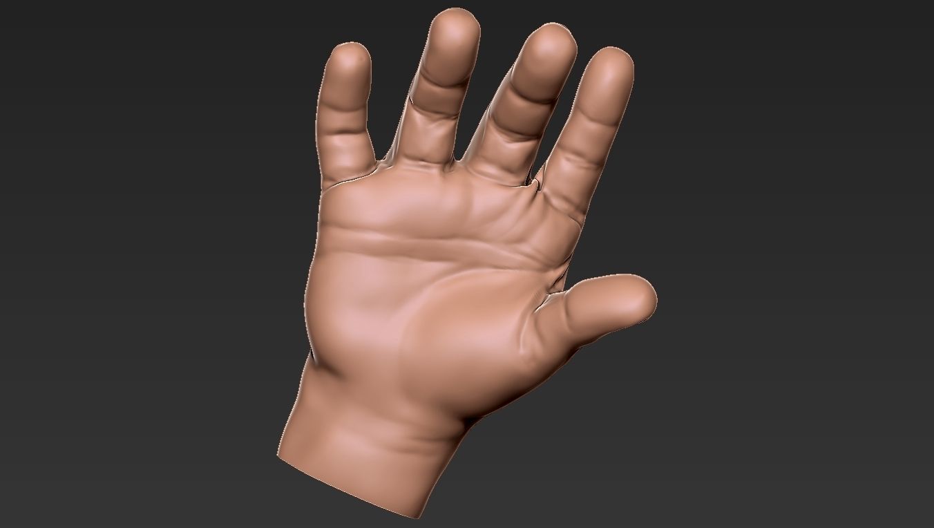 Male Hand 3d Print 3D print model_4