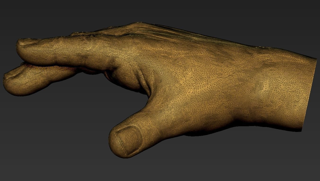 Male Hand 3d Print 3D print model_14