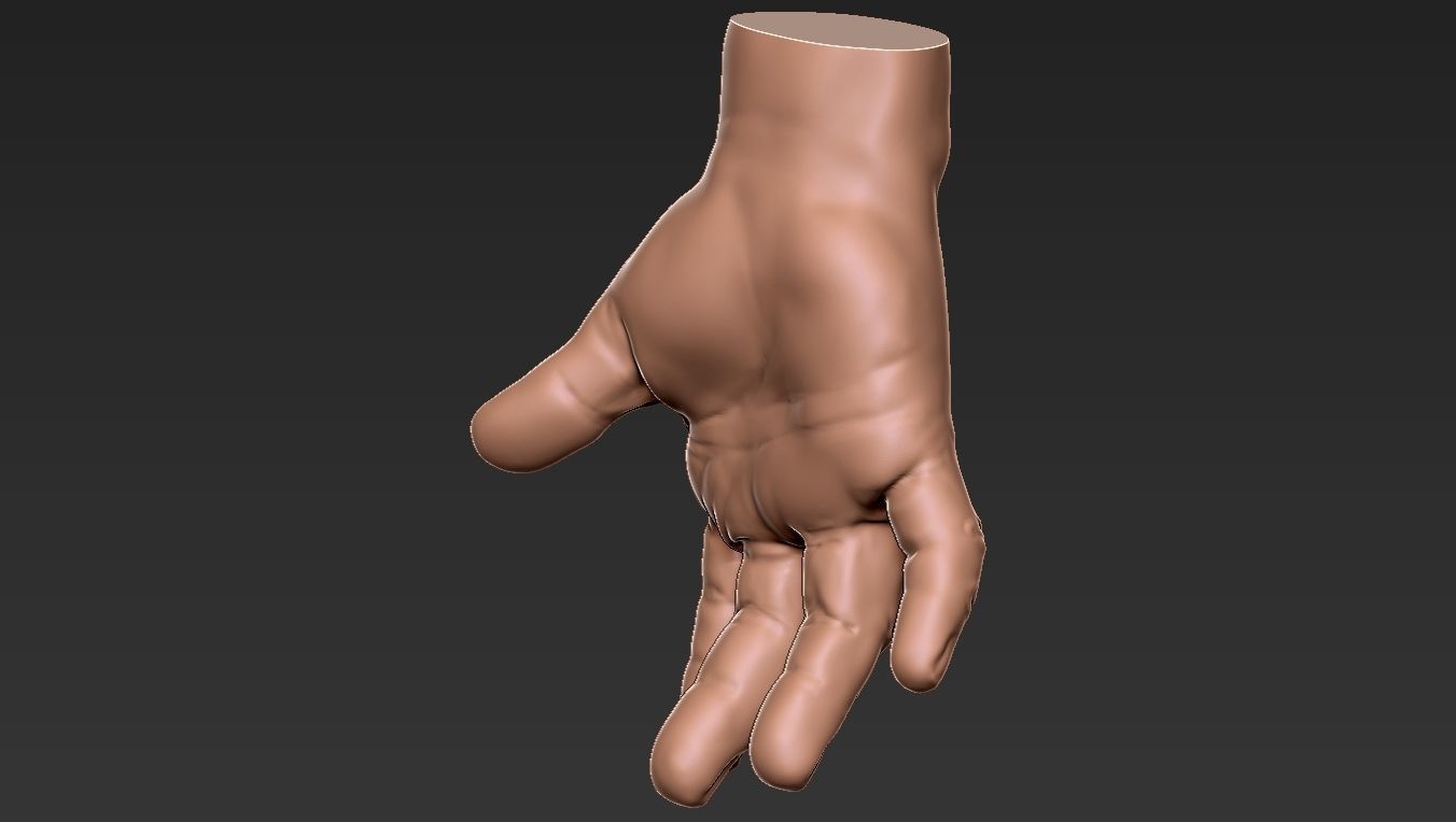 Male Hand 3d Print 3D print model_30