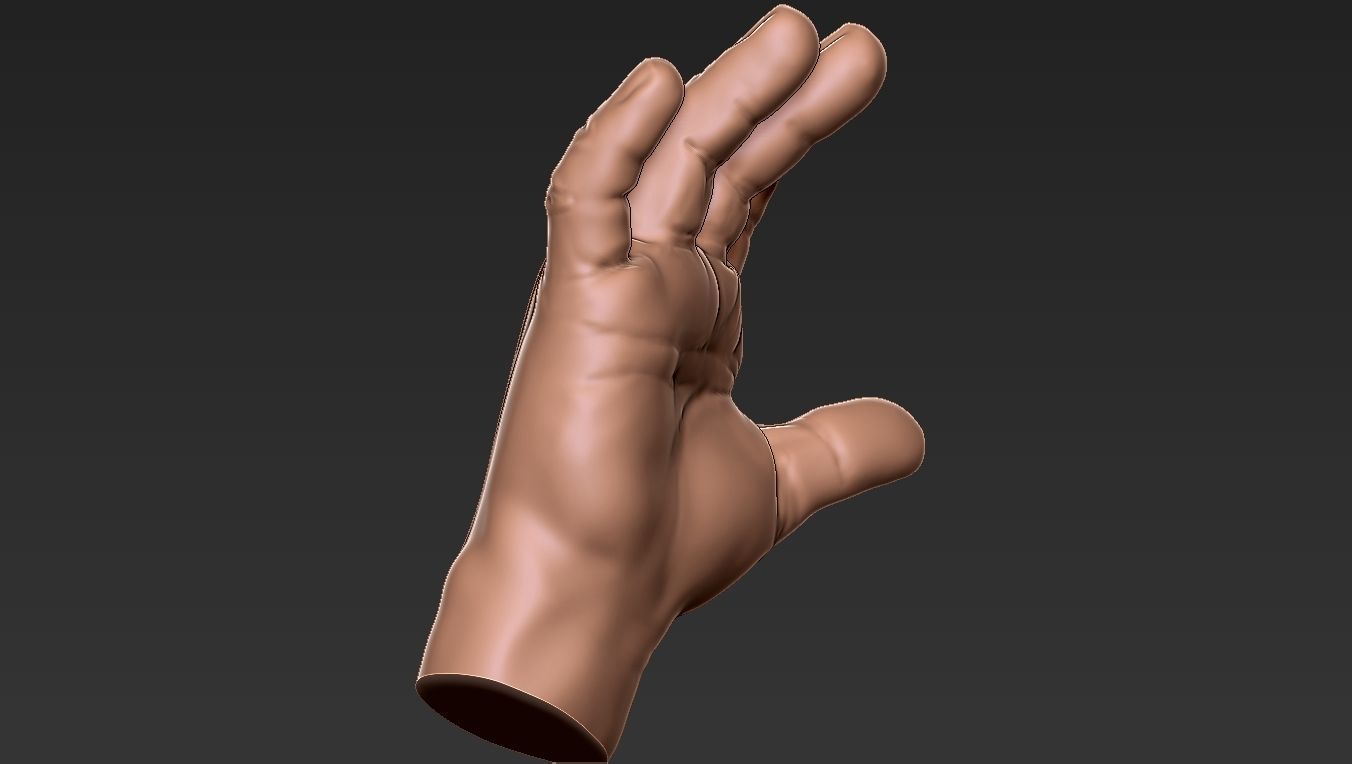 Male Hand 3d Print 3D print model_2