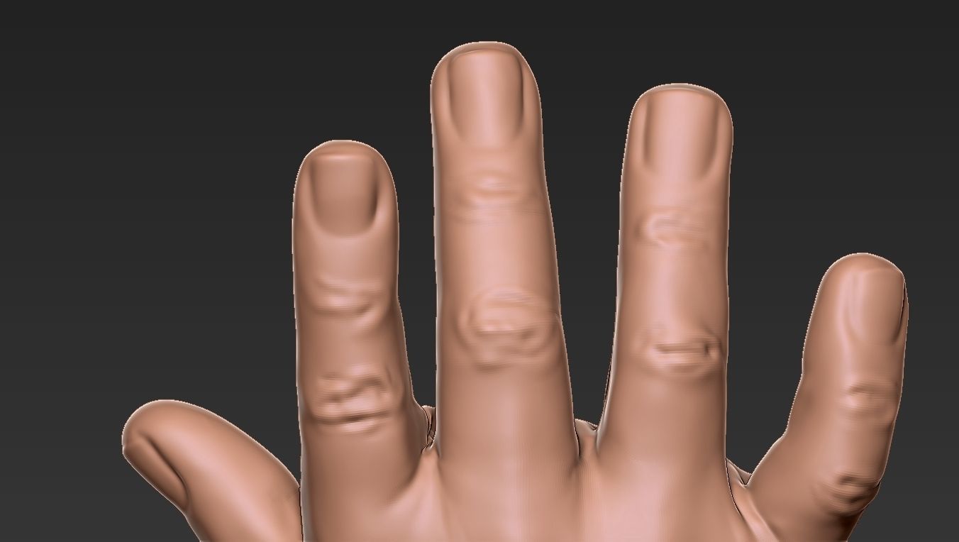 Male Hand 3d Print 3D print model_10