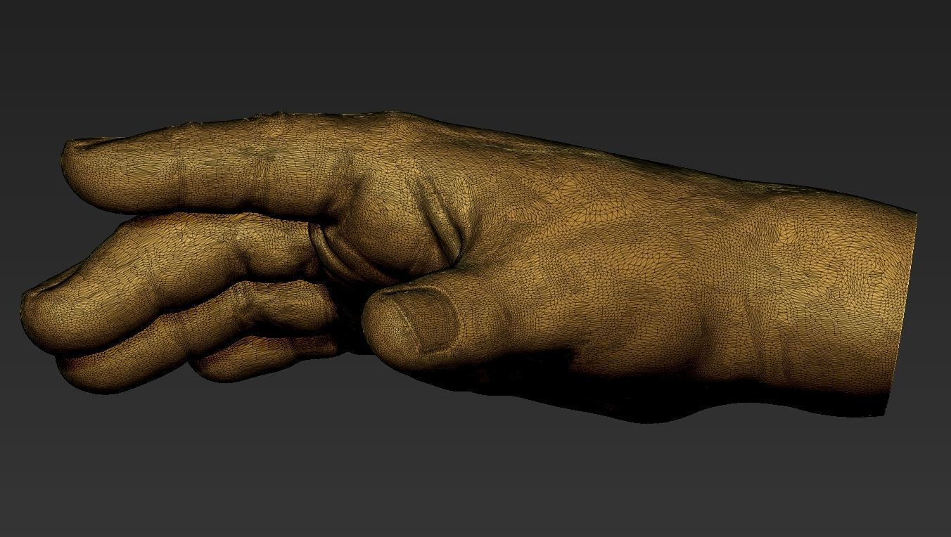 Male Hand 3d Print 3D print model_15
