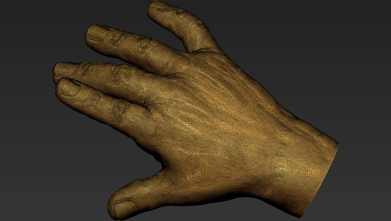Male Hand 3d Print 3D print model_24