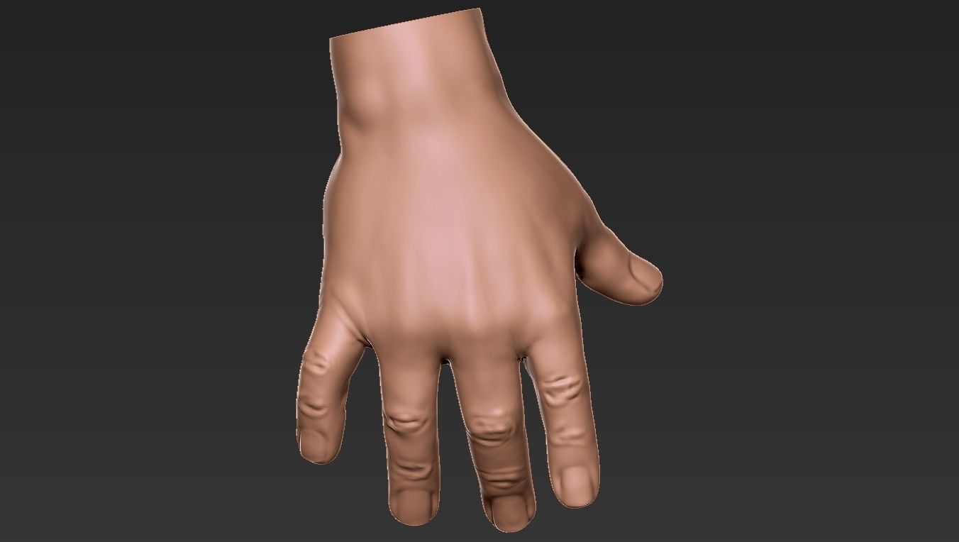 Male Hand 3d Print 3D print model_32