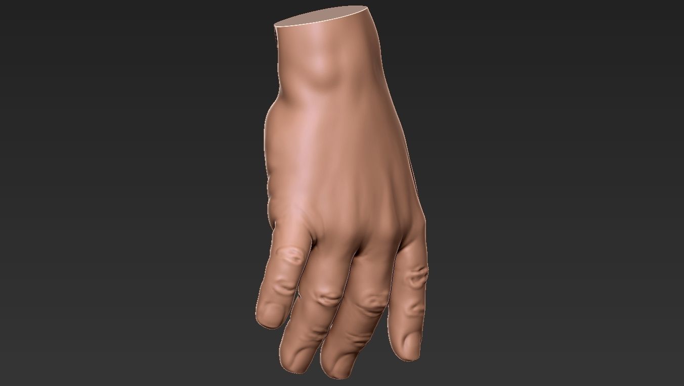 Male Hand 3d Print 3D print model_31