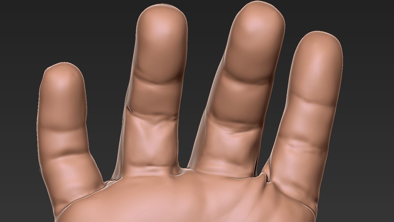 Male Hand 3d Print 3D print model_11