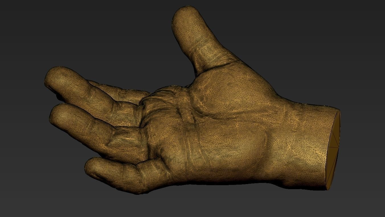 Male Hand 3d Print 3D print model_19