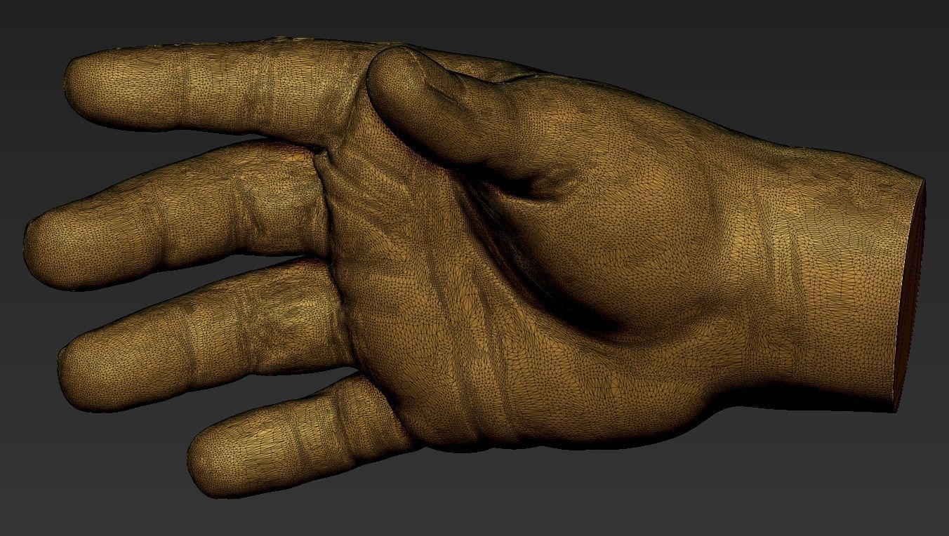 Male Hand 3d Print 3D print model_17