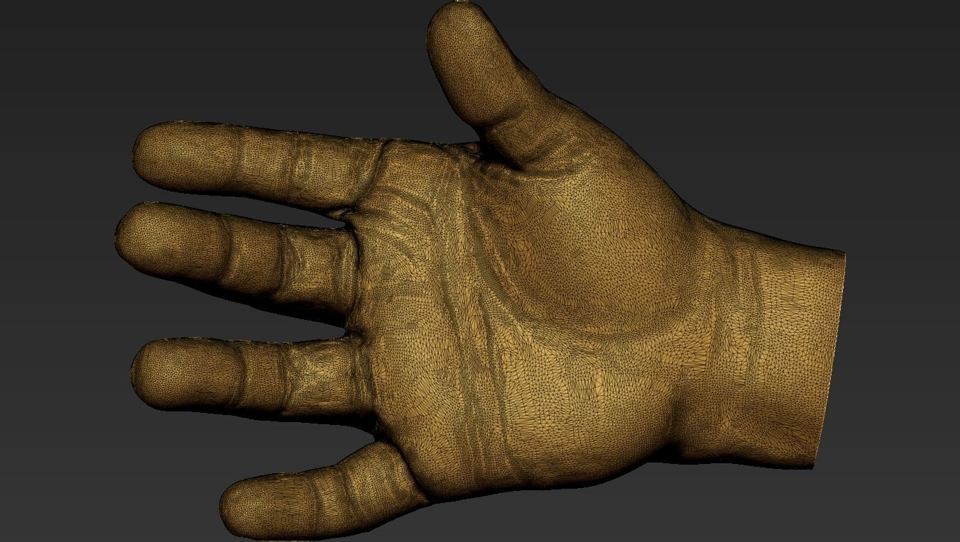 Male Hand 3d Print 3D print model_18