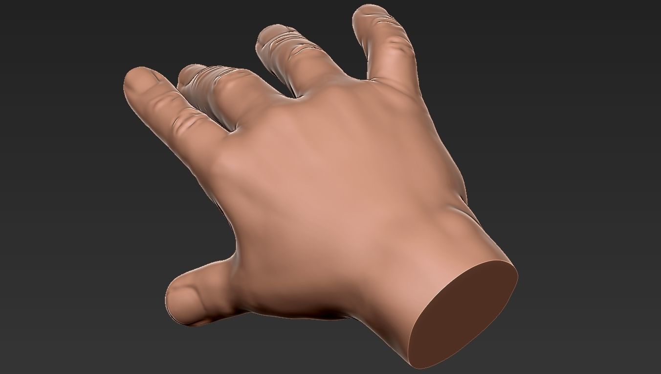 Male Hand 3d Print 3D print model_1