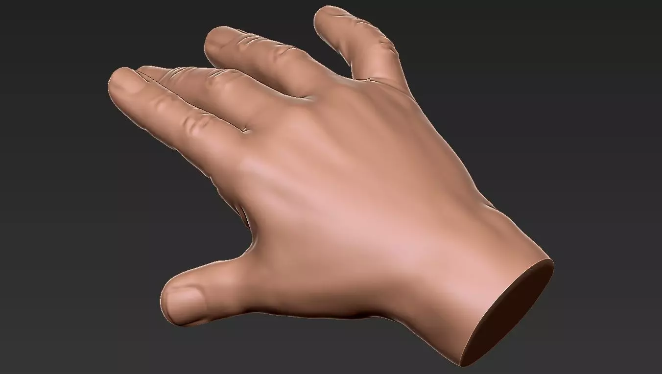 Male Hand 3d Print 3D print model_0