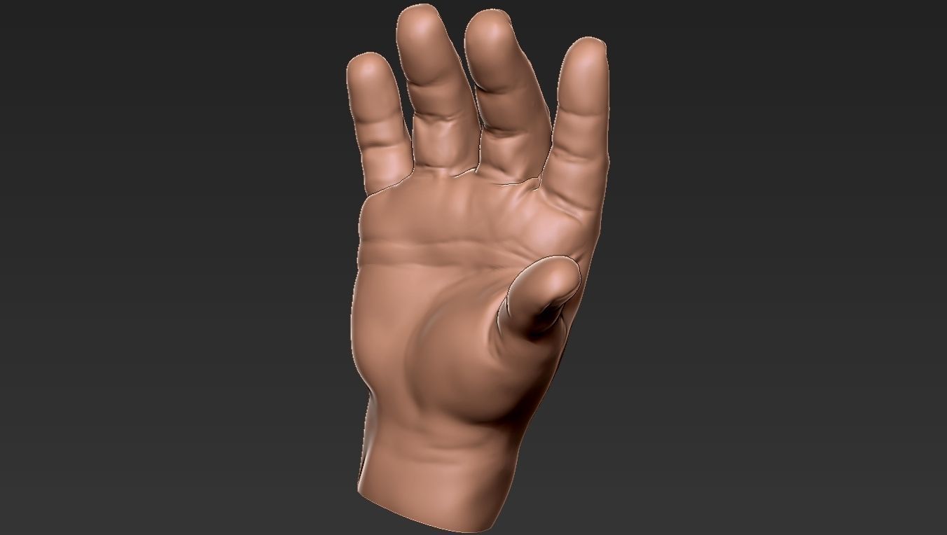Male Hand 3d Print 3D print model_5