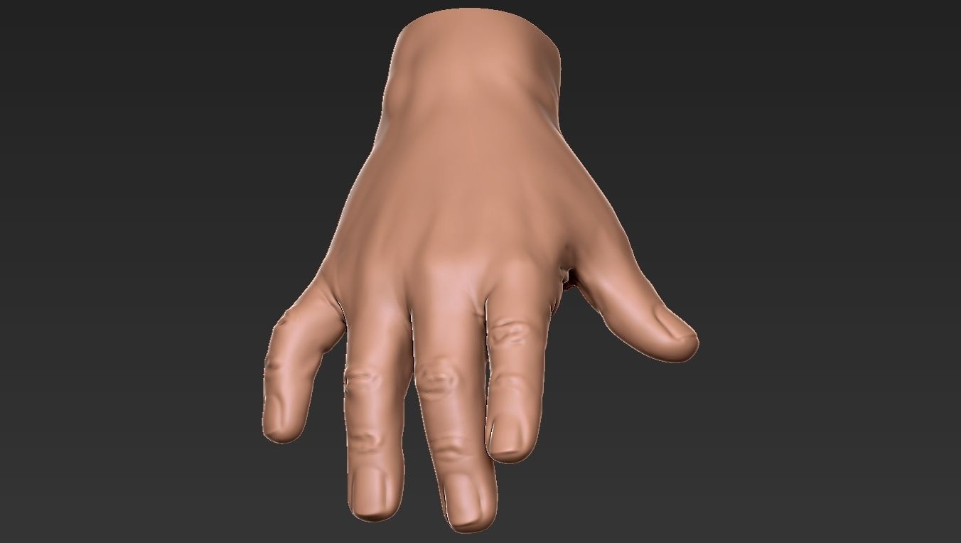 Male Hand 3d Print 3D print model_27