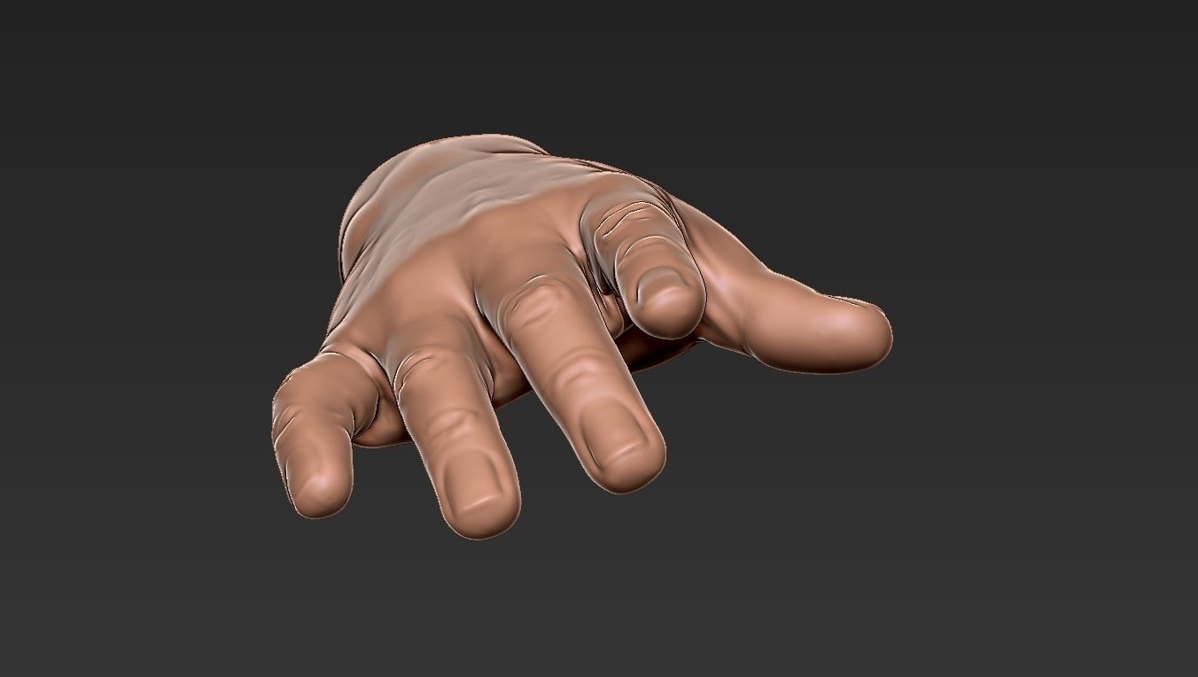 Male Hand 3d Print 3D print model_25
