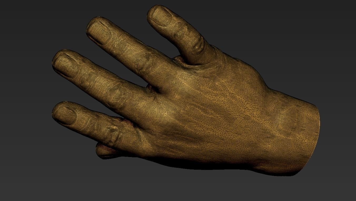 Male Hand 3d Print 3D print model_22