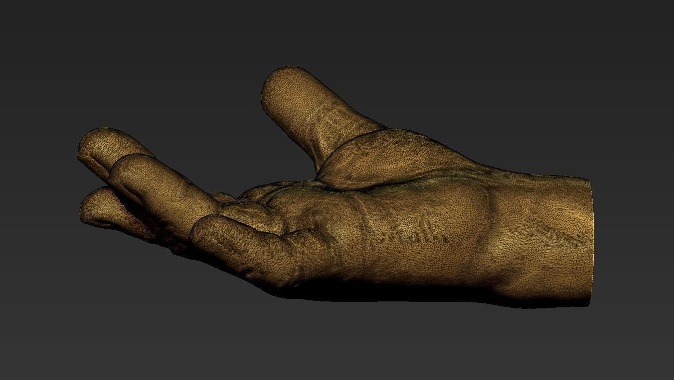 Male Hand 3d Print 3D print model_20