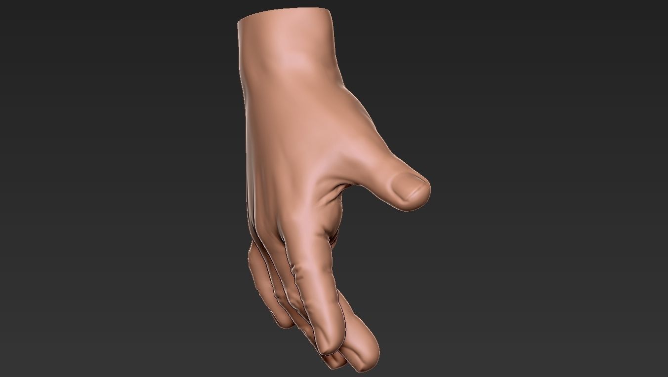 Male Hand 3d Print 3D print model_28