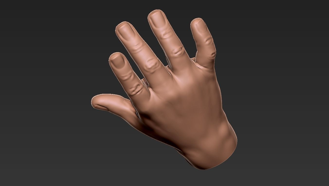 Male Hand 3d Print 3D print model_7