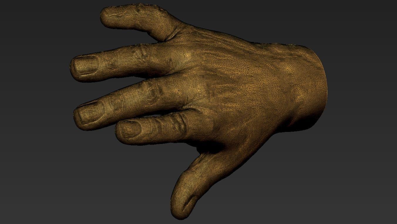 Male Hand 3d Print 3D print model_12