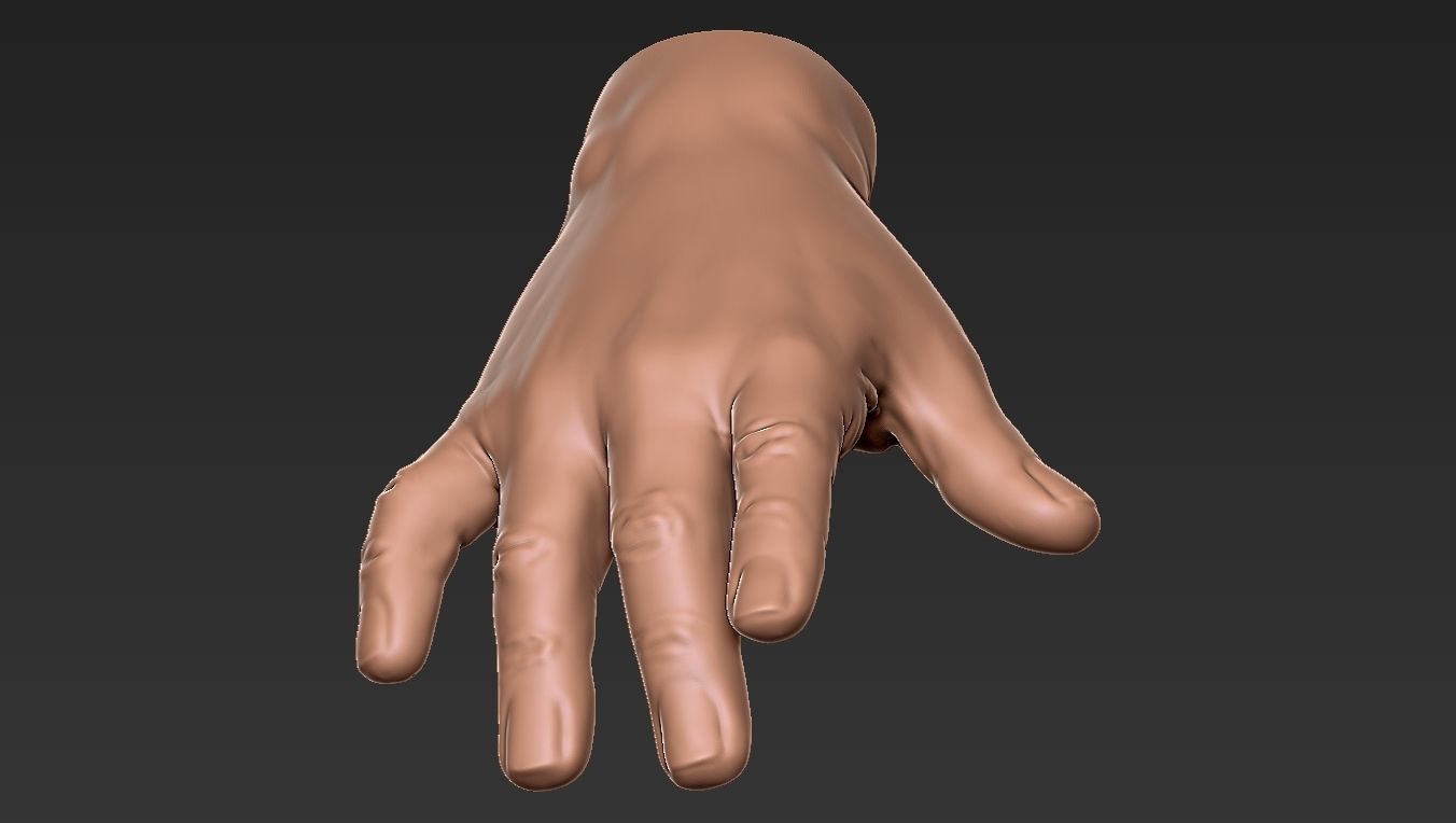 Male Hand 3d Print 3D print model_26