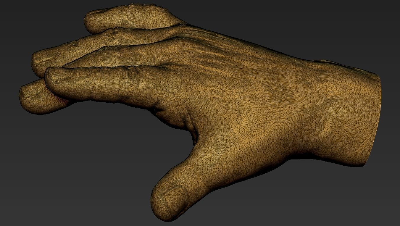 Male Hand 3d Print 3D print model_13