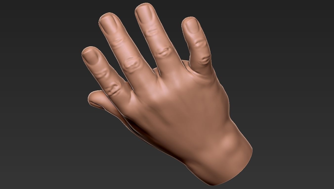 Male Hand 3d Print 3D print model_8