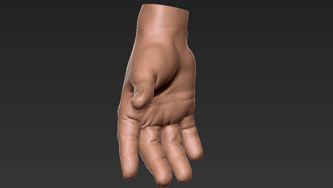Male Hand 3d Print 3D print model_29