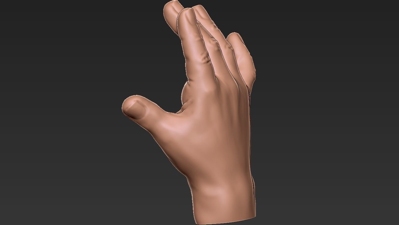 Male Hand 3d Print 3D print model_6