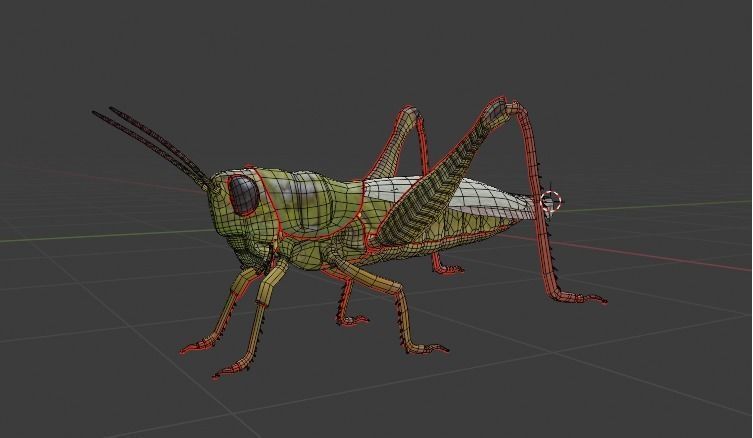 Grassshoper 3d grasshopper on rock 3D model_1