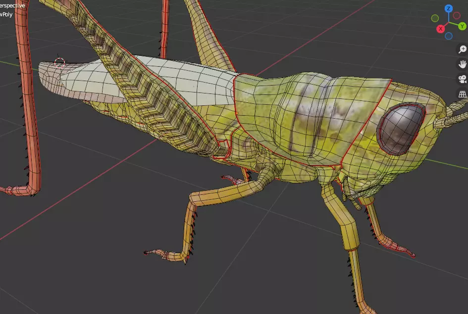 Grassshoper 3d grasshopper on rock 3D model_0