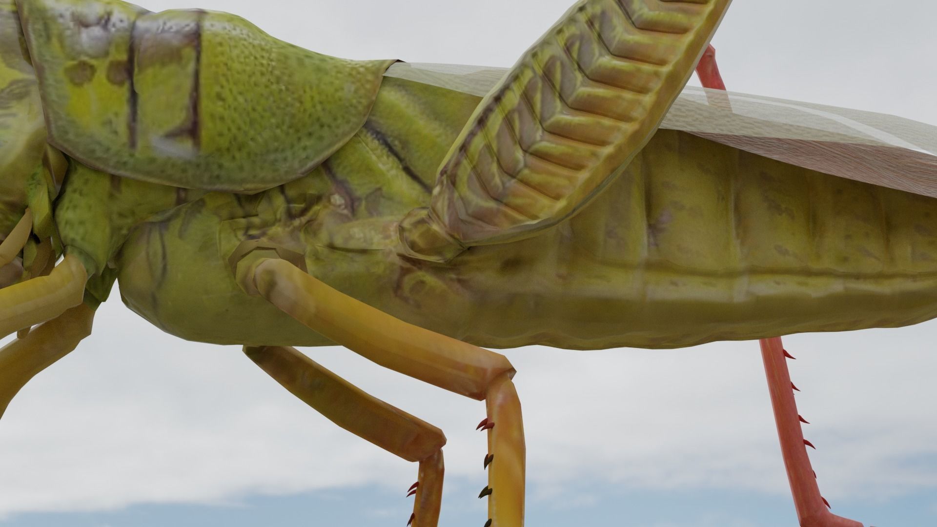 Grassshoper 3d grasshopper on rock 3D model_4