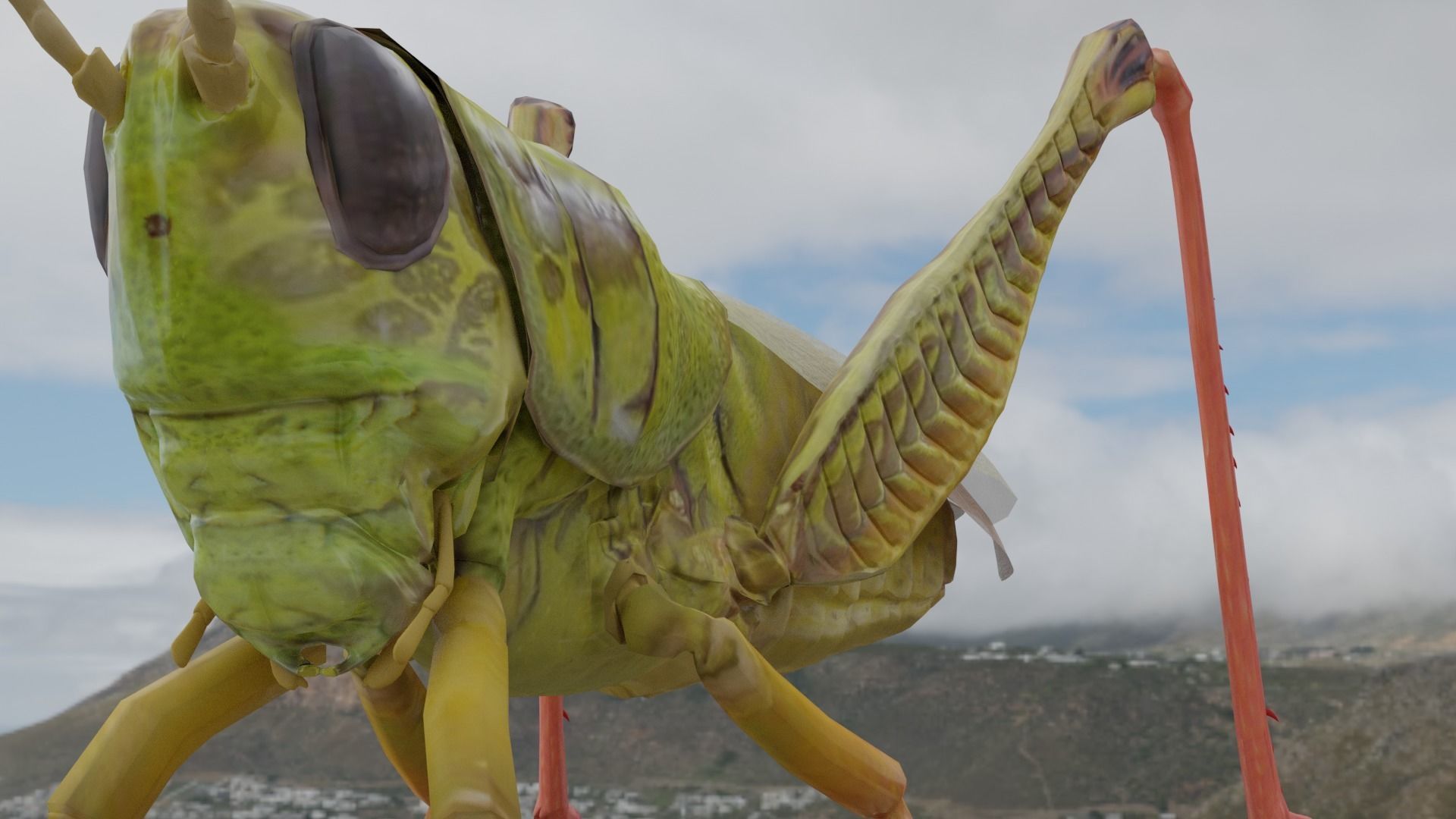 Grassshoper 3d grasshopper on rock 3D model_3