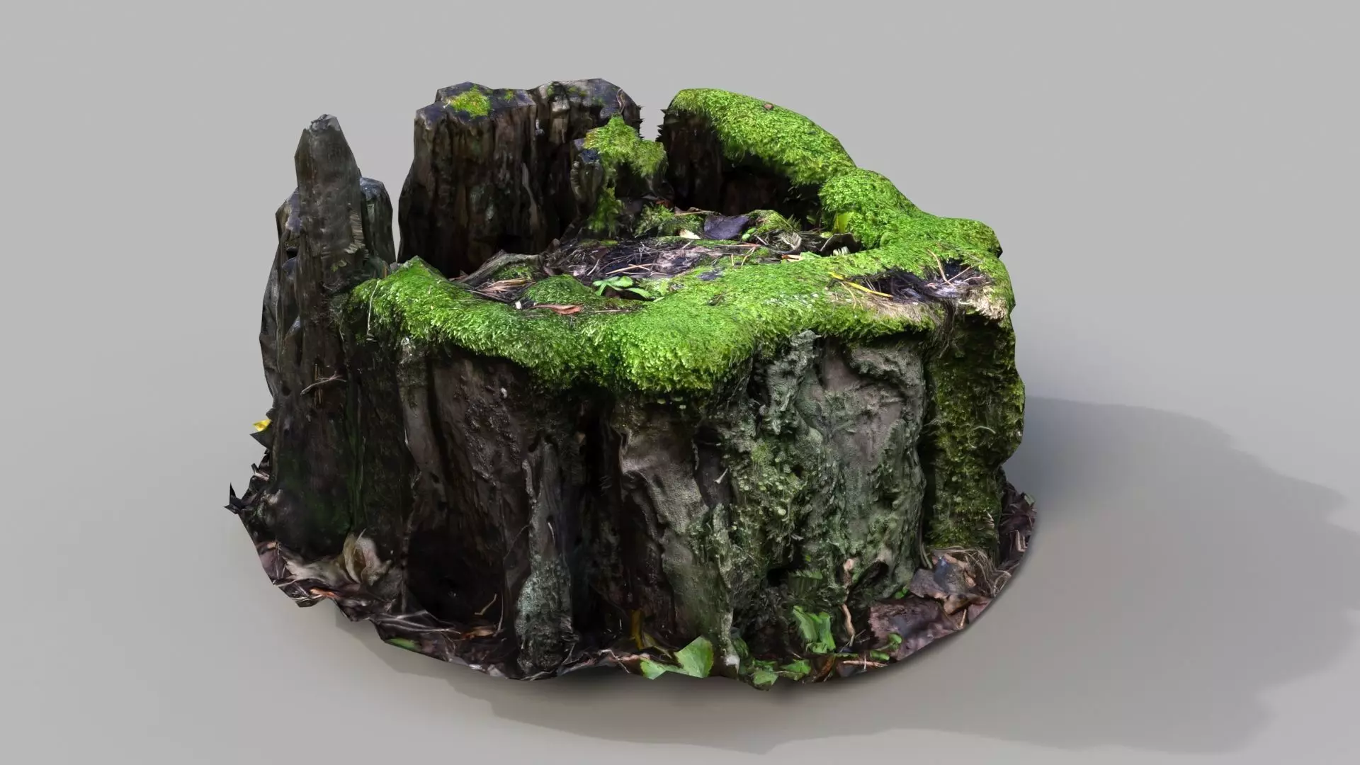old mossed stump Low-poly 3D model_0