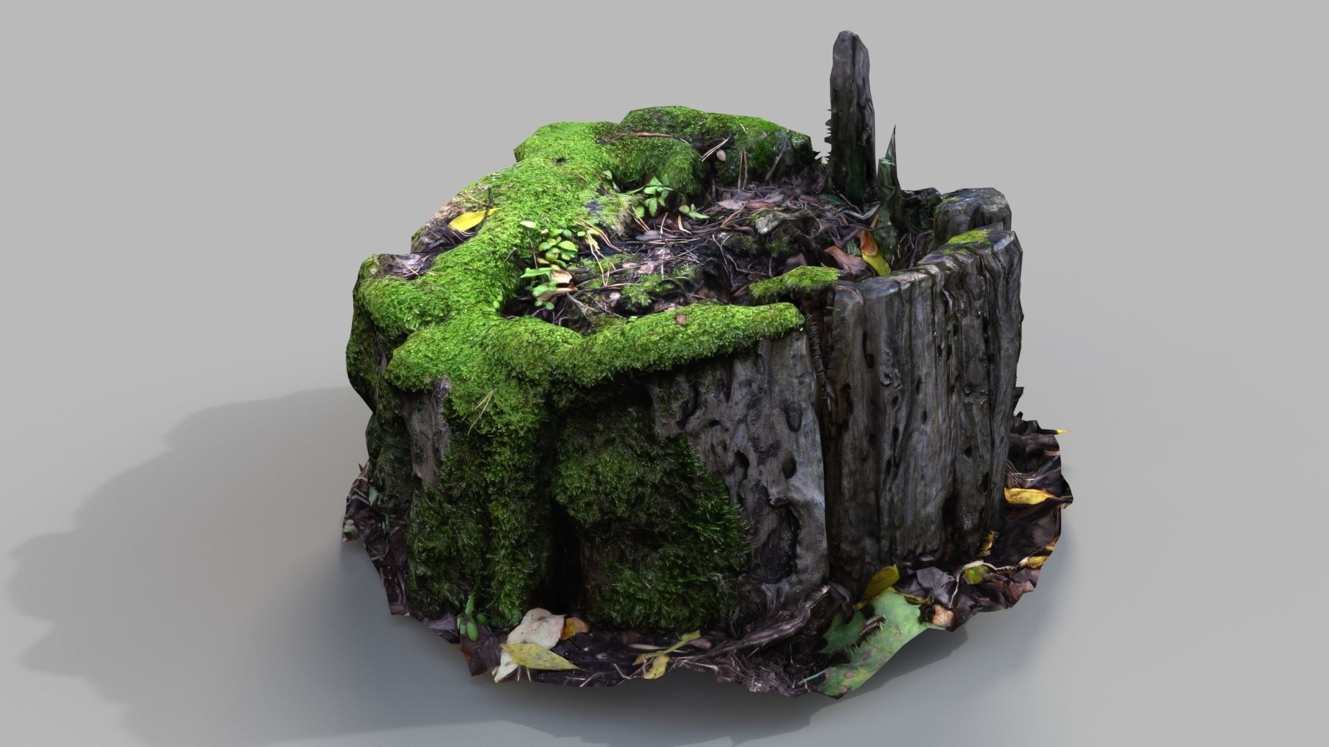 old mossed stump Low-poly 3D model_1