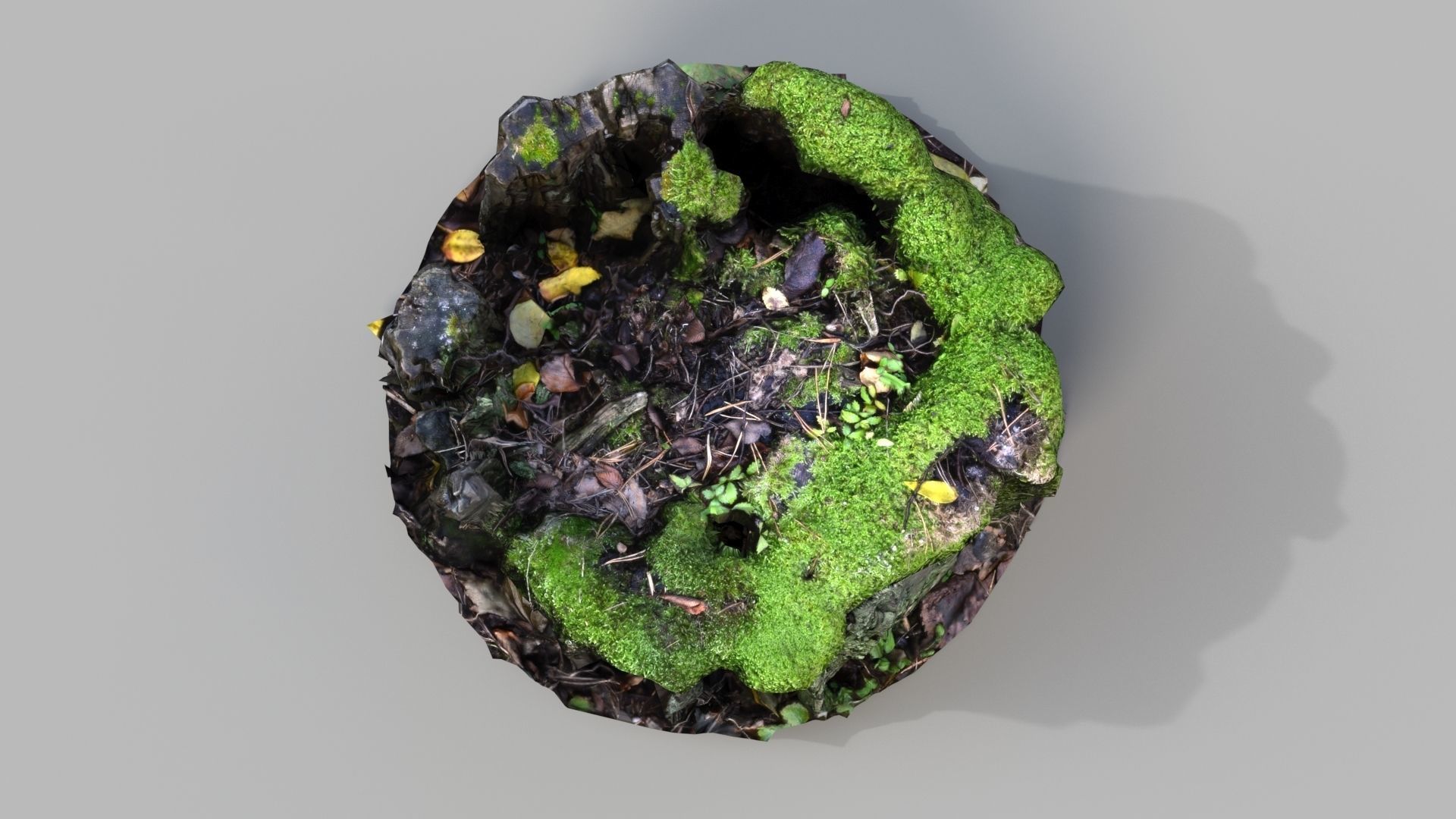 old mossed stump Low-poly 3D model_4