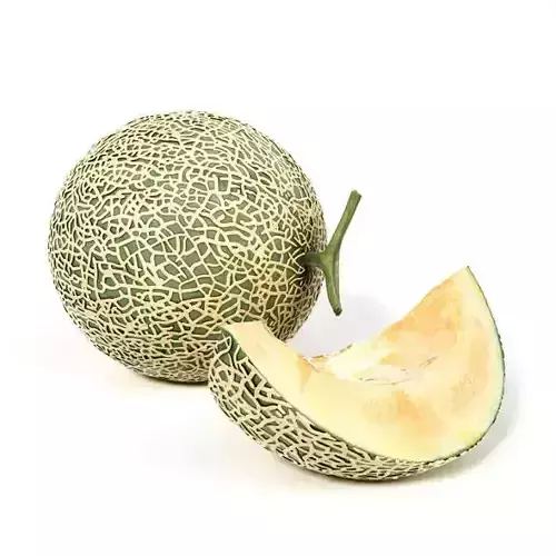 Fully Ripe Cantaloupe 3D model