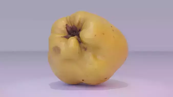 Quince fruit 03 high-poly 3D model