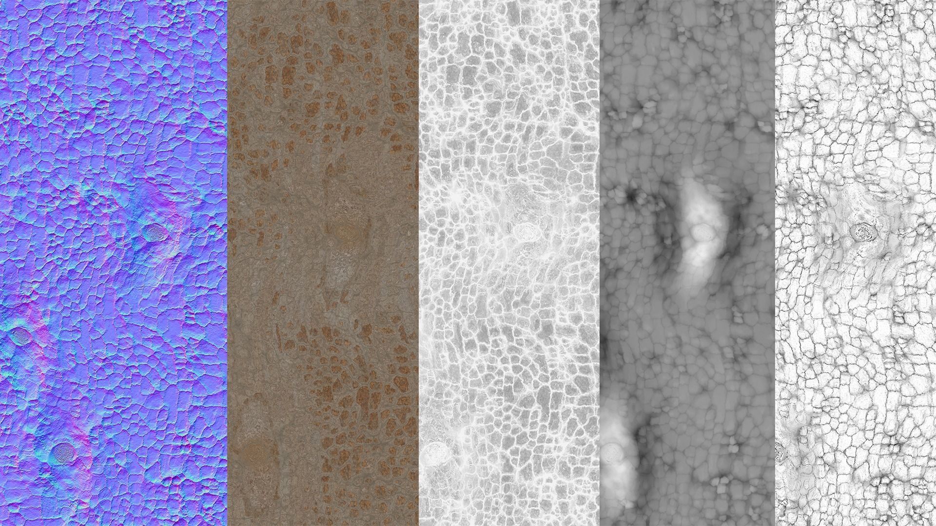 Pine Bark Material Texture_5