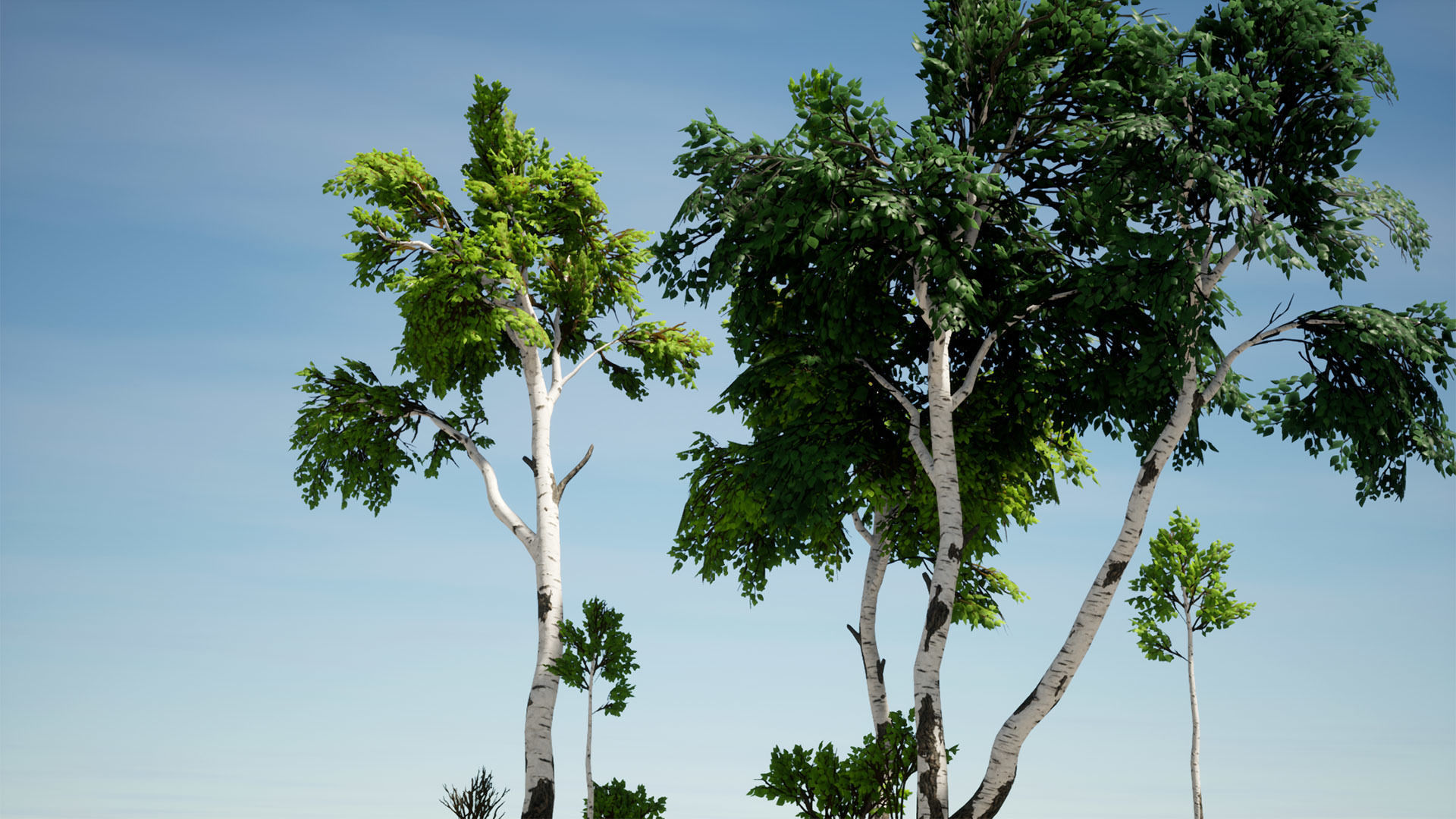 Birch Bark Material Texture_5