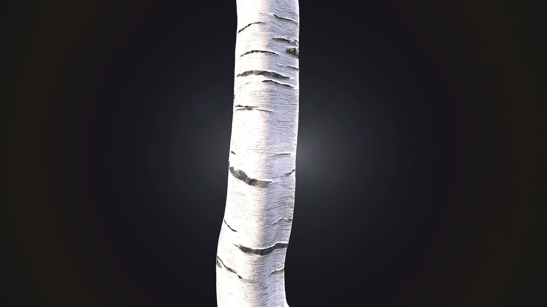 Birch Bark Material Texture_2