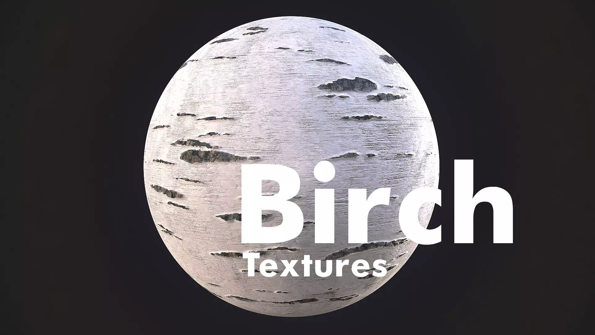 Birch Bark Material Texture_0