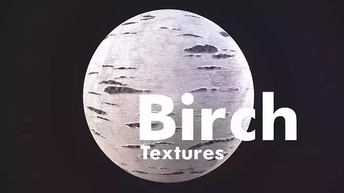 Birch Bark Material Texture