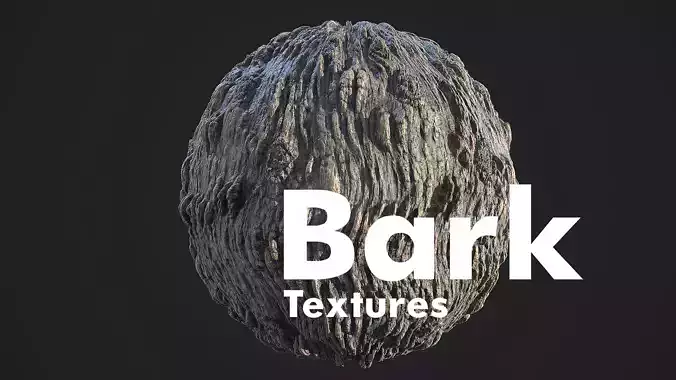 Tree Bark Material Texture
