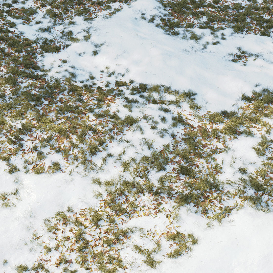 Winter Grass 01 3D model_1