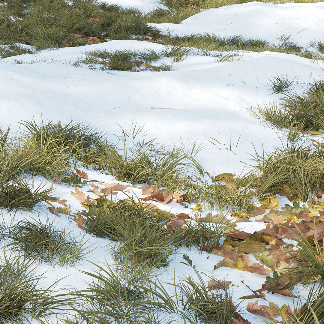 Winter Grass 01 3D model_2