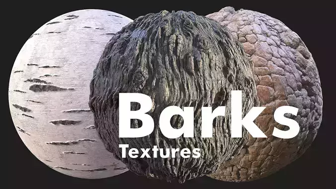 Barks Materials Texture