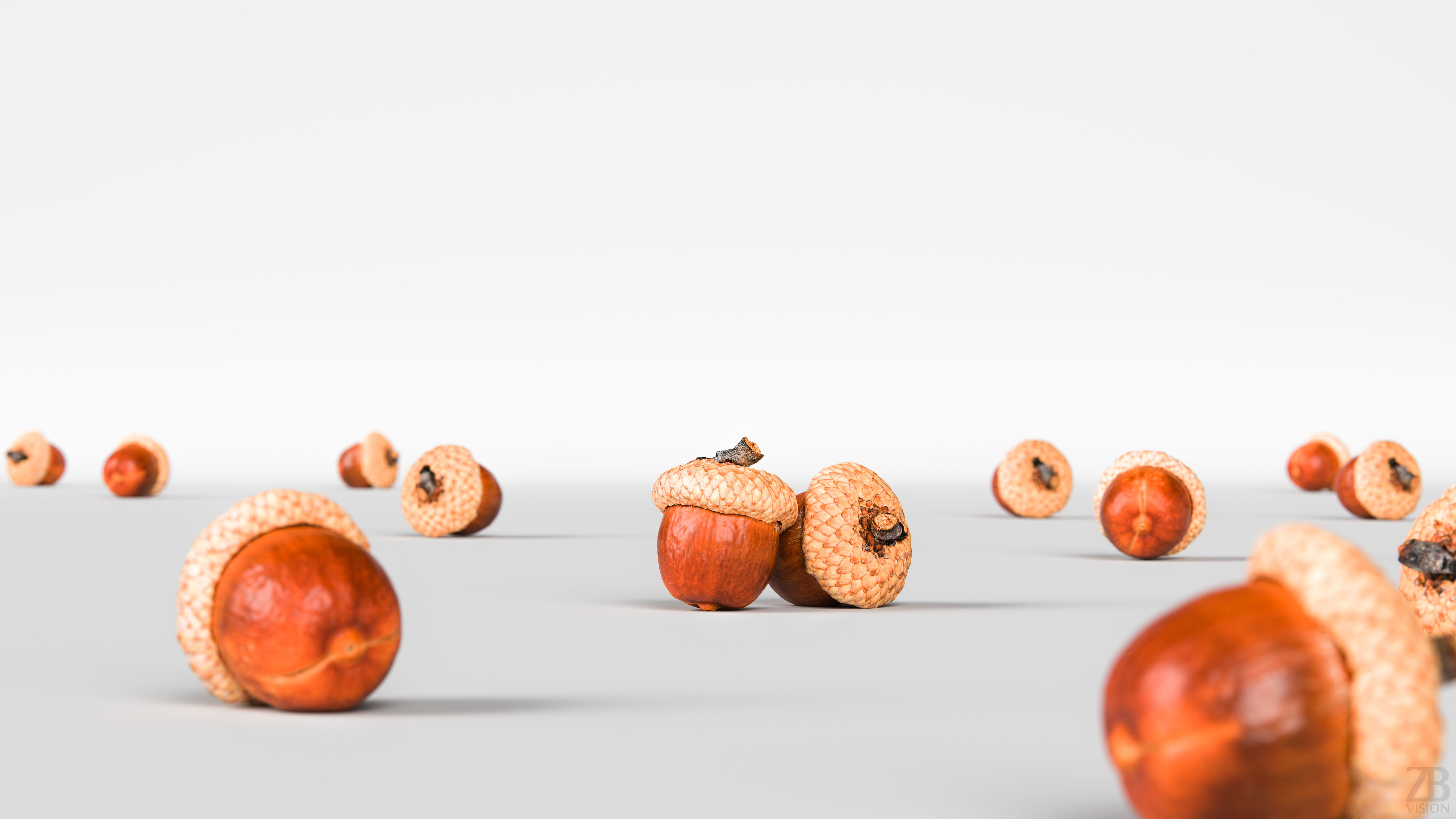 Acorn 3D model_1
