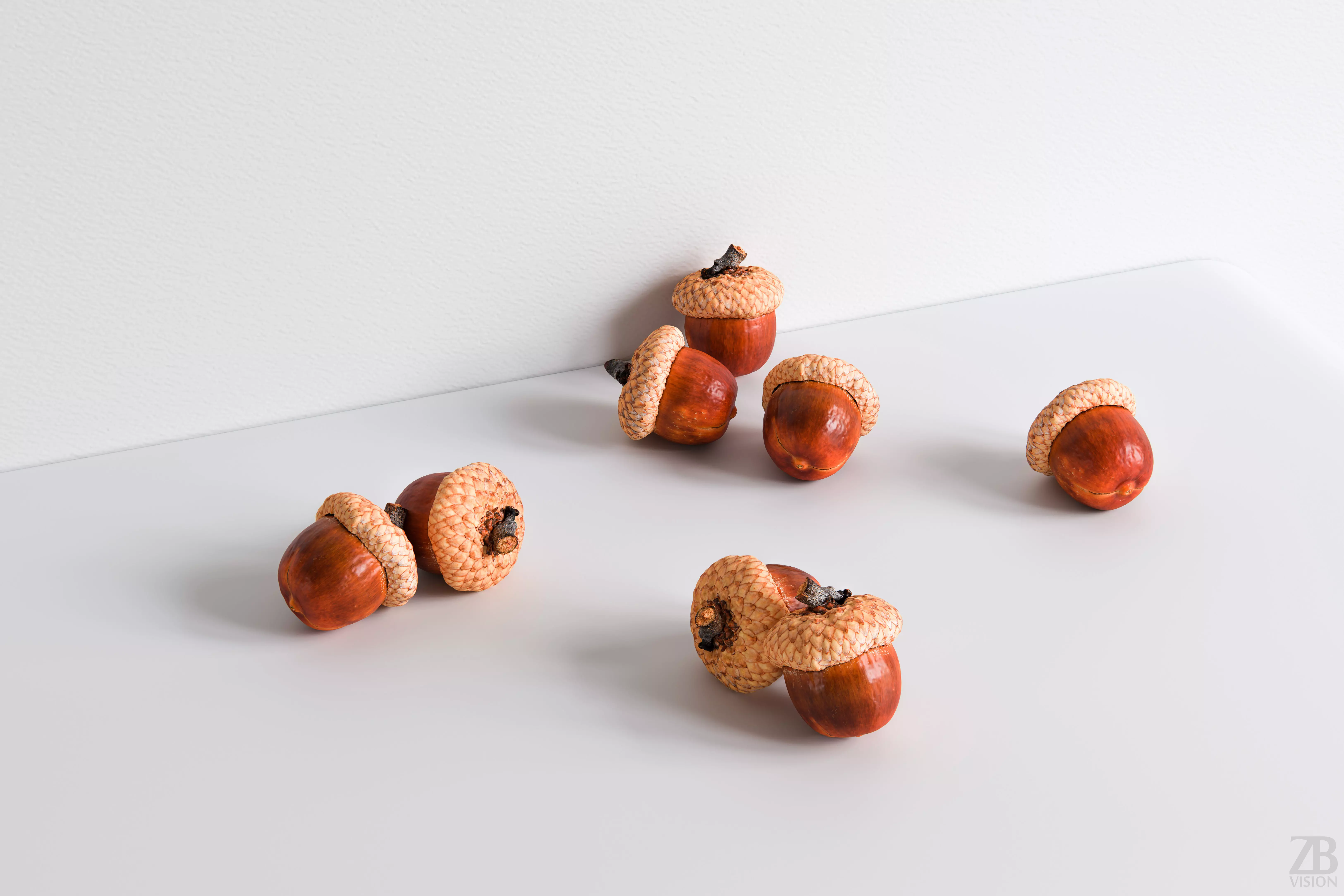 Acorn 3D model_0