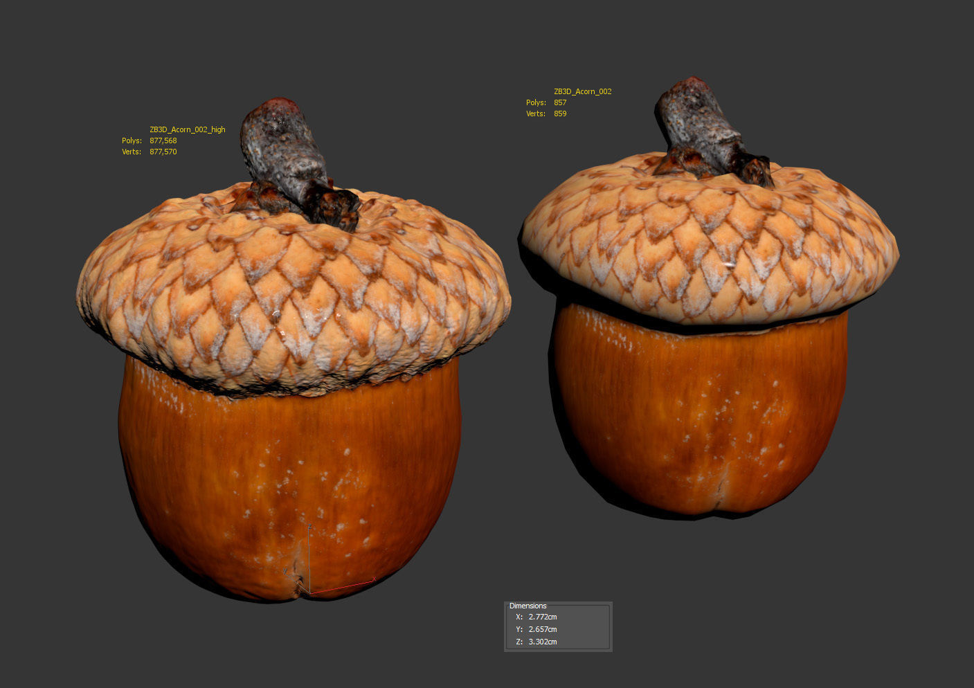 Acorn 3D model_9
